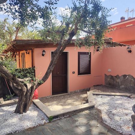 פיומיצ'ינו Sunrise Home מראה חיצוני תמונה